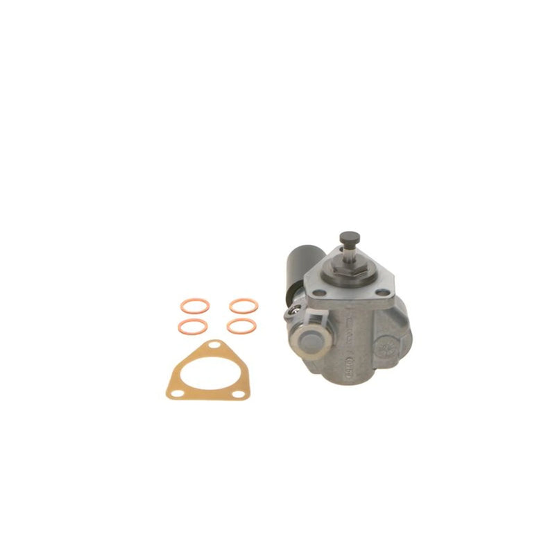 Bosch Fuel Pump Assembly