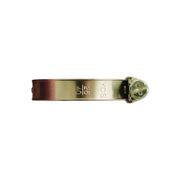 Tool Connection SS Hoseclip 12-22mm x 9mm 10pc 30791 Tool Connection - Dynamic Drive