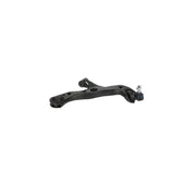 Delphi Control/Trailing Arm Lower fits Suzuki Swace 2020 on 1.8