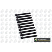 BGA Cylinder Head Bolt Set M10 BK6387