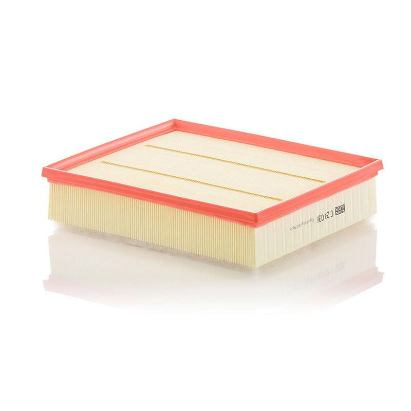MANN-FILTER Engine Air Filter C 29 036