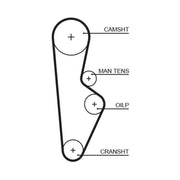 Gates Timing Belt Cambelt 108 Teeth 5082XS