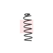 Apec Rear Suspension Coil Spring ACS1577