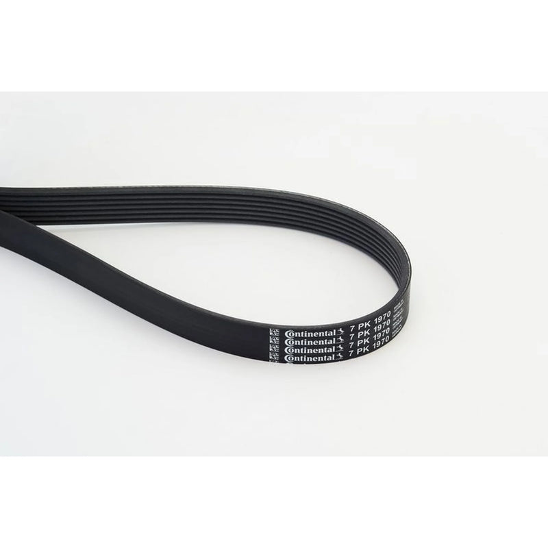 Continental CTAM Multi V-Ribbed Drive Belt fits Alfa Romeo 156 2001-2005 2.0