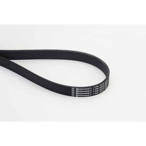 Continental CTAM Multi V-Ribbed Drive Belt fits Alfa Romeo 156 2001-2005 2.0