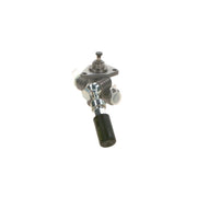 Bosch Fuel Pump Assembly
