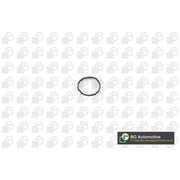 BGA Egr Valve Gasket ID AX01055
