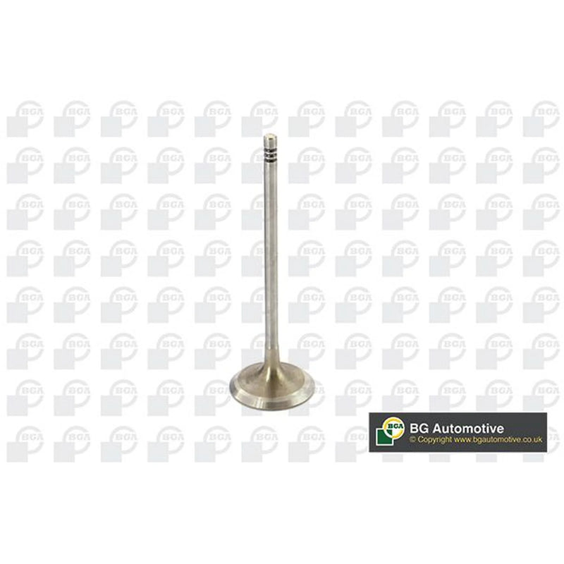 BGA Engine Intake Valve Head V090102