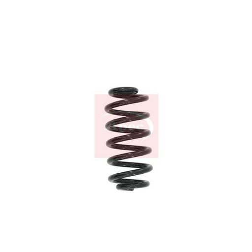 Apec 2 x Suspension Springs fits Audi A6 C6 2004-2011 2.0 2.4 2.7 2.8 3.0 3.2