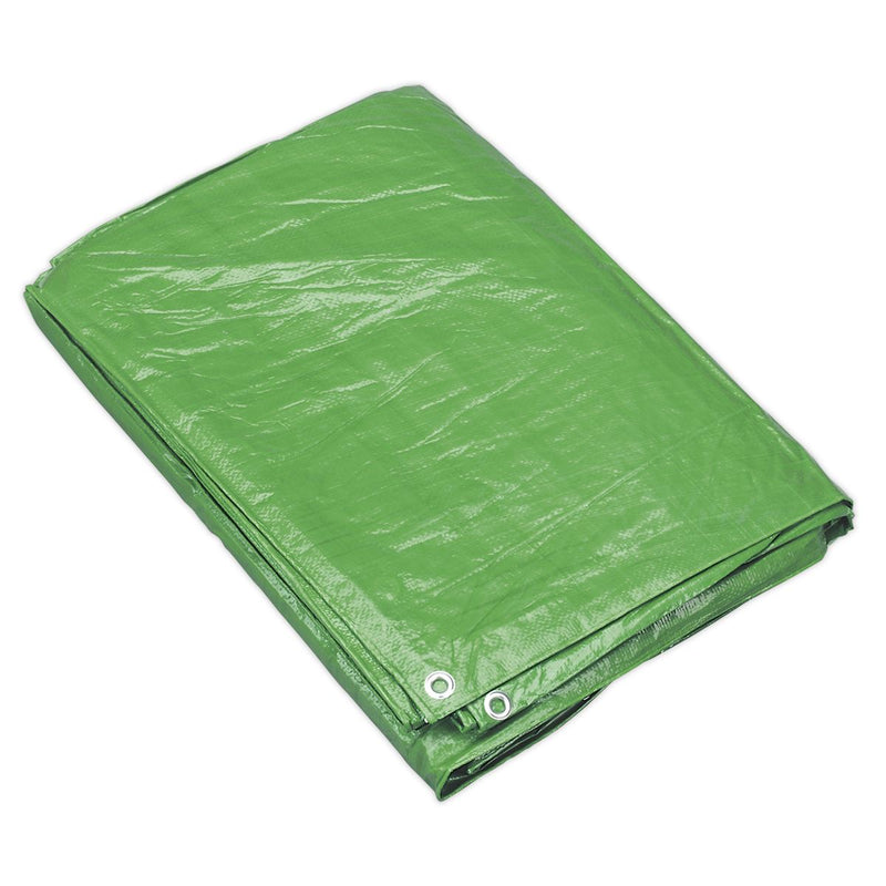 Sealey Tarpaulin 4.88 x 6.10m Green TARP1620G Sealey - Dynamic Drive
