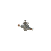 Bosch Fuel Pump Assembly