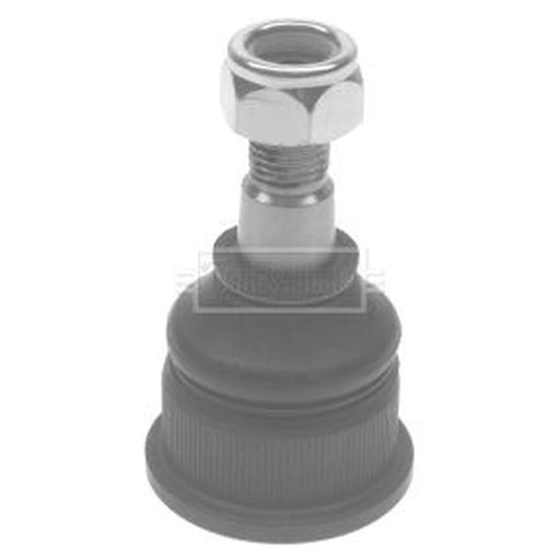 Borg & Beck Ball Joint Lower BBJ5030