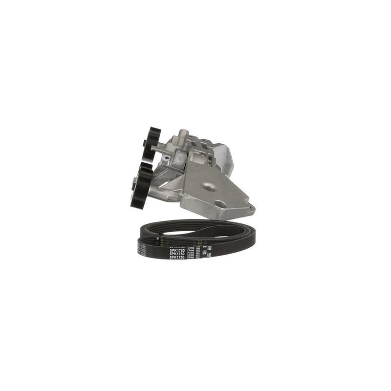 Gates V-Ribbed Belt Set K045PK1750