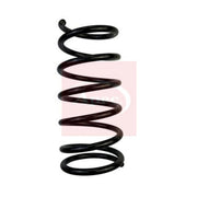 Apec Rear Suspension Coil Spring ACS1677