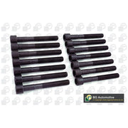 BGA Cylinder Head Bolt Set M11 BK5337