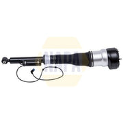 NAPA Air Suspension Strut Shock NAS1102