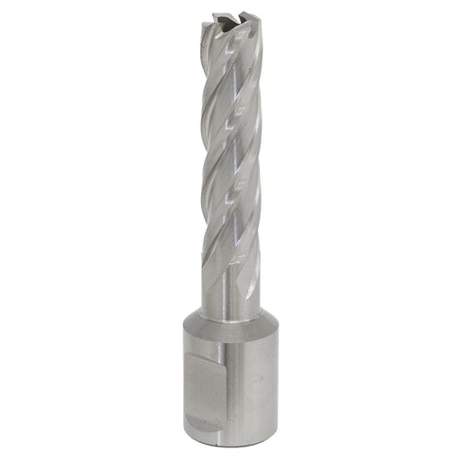 Sealey Rotabor Cutter HSS12mm Cut Depth 50mm RBHSS12L Sealey - Dynamic Drive