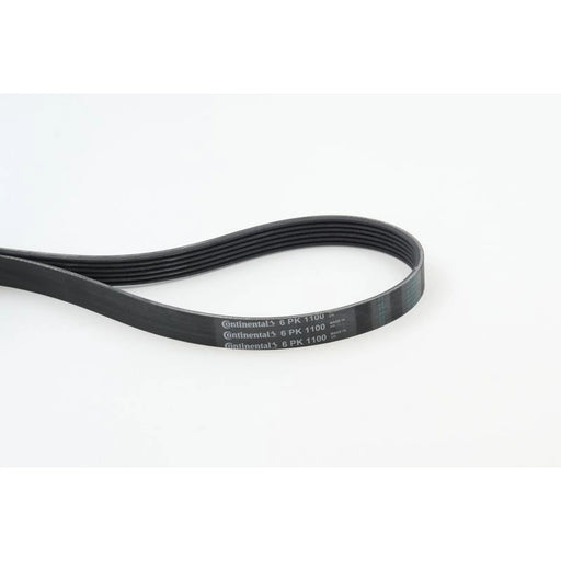 Continental CTAM Multi V-Ribbed Drive Belt fits Audi A1 2021 on