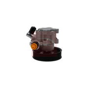 Apec Power Steering Hydraulic Pump fits Mercedes-Benz E-Class 2005-2008