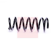 Apec Rear Suspension Coil Spring fits Honda Fr-V 2004-2009 1.7 1.8 2.0 2.2