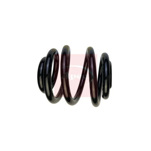 Apec Rear Suspension Coil Spring ACS1980