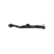 Delphi Control/Trailing Arm Lower fits Hyundai Grand Santa Fé 2013-2018