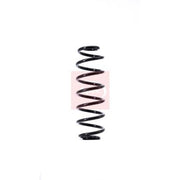 Apec Front & Rear Suspension Springs fits VW Golf V 2004-2008 1.9 2.0
