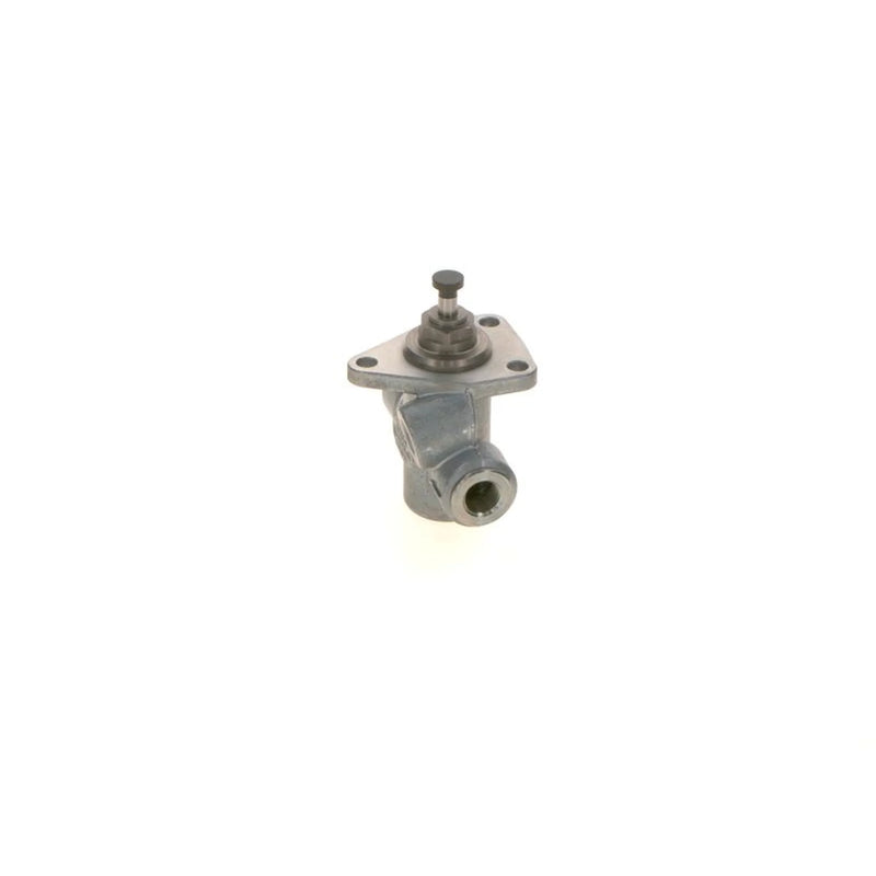 Bosch Fuel Pump Assembly
