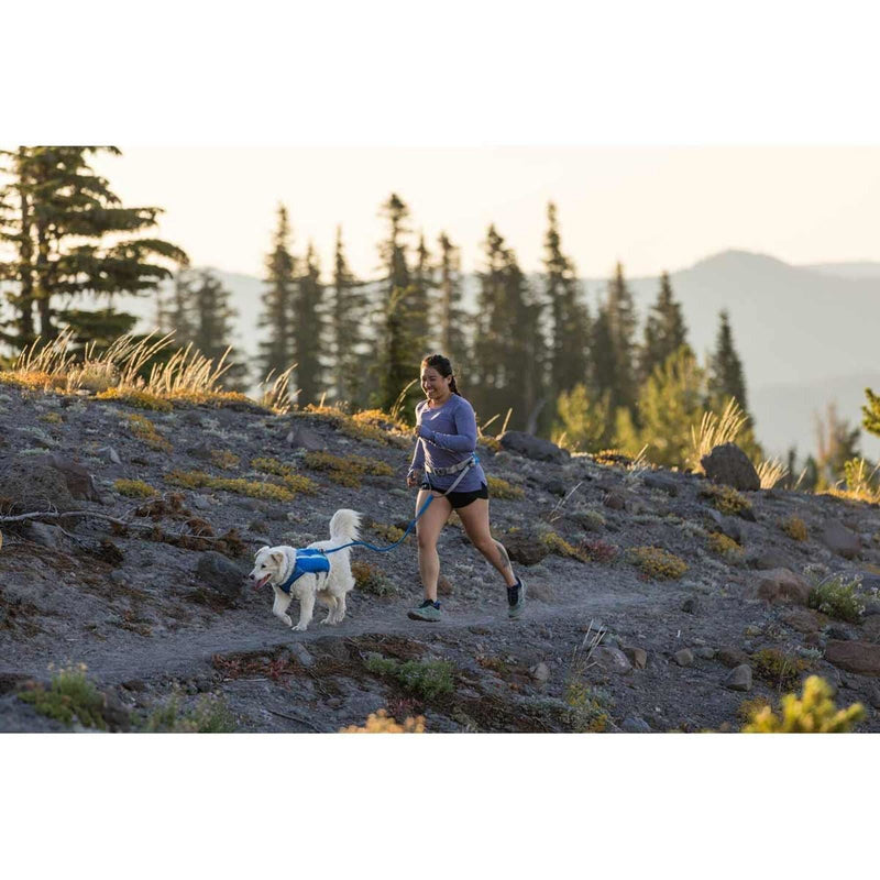 Ruffwear Trail Runner Belt in Blue Pool (L / XL) Ruffwear - Bars 4 Cars