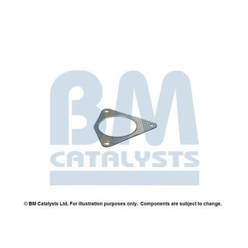 BM Catalysts Fitting Kit FK91445A FK91445A