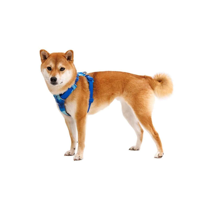 Ruffwear Front Range Dog Harness - Coastal Mountains Print (Medium) Ruffwear - Dynamic Drive