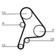Continental CTAM Timing Belt Cambelt 137 Teeth fits Seat Arosa 1997-2004 1.7