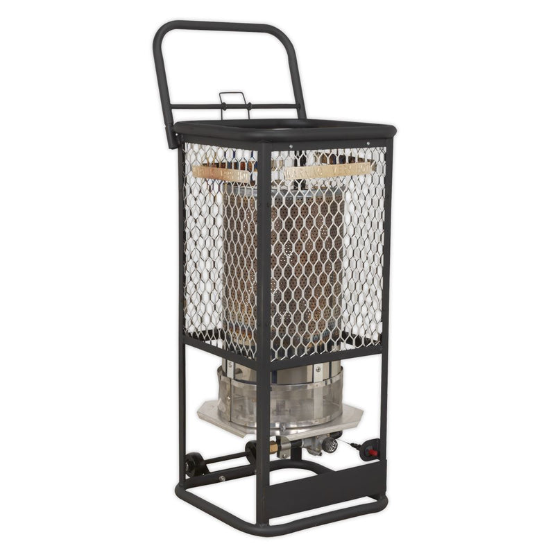 Sealey Space Warmer Industrial Propane Heater 125,000Btu/hr LPH125 Sealey  - Dynamic Drive