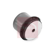 Apec Subframe Mounting Bush Rear Right AST8384