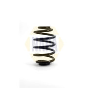 NAPA 2 x Suspension Springs fits Renault Clio 1998-2016 1.2 1.4 1.5 1.6 1.9