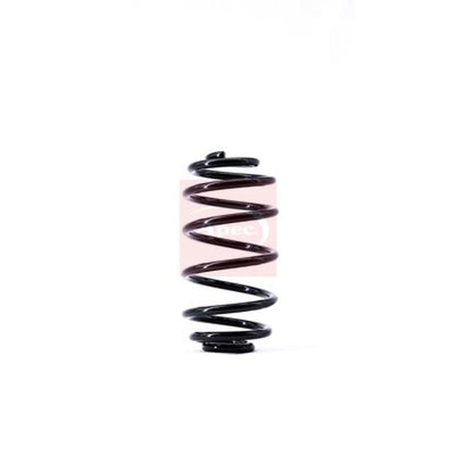 Apec Rear Suspension Coil Spring ACS1392