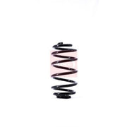 Apec 2 x Suspension Springs fits Saab 9-3 2002-2015 1.8 1.9 2.0 2.2