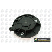 BGA Camshaft Adjustment Central Magnet OD ID Wide OCV0116