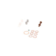Bosch Fuel Pump Repair Kit