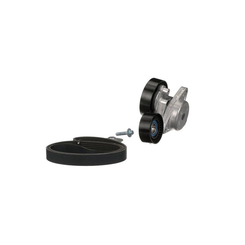 Gates V-Ribbed Belt Set K036PK2448