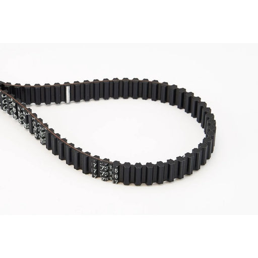 Continental CTAM Timing Belt Cambelt 149 Teeth fits Seat Cordoba 1996-2002 1.4