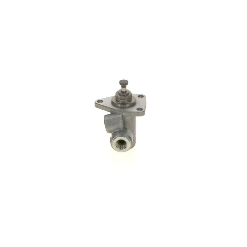 Bosch Fuel Pump Assembly