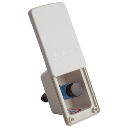 Whale Water Out Socket Whale - Dynamic Drive