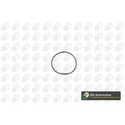 BGA Intake Manifold Gasket Thick MG1201