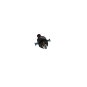 Bosch Diesel Injection Pump