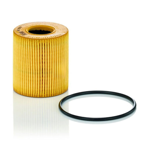 MANN-FILTER Service Kit with Air & Oil Filters fits Land Rover Freelander 2