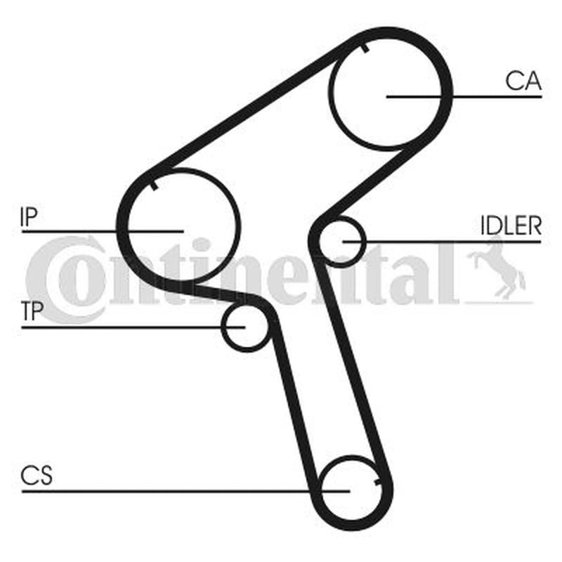 Continental CTAM Timing Belt Cambelt 145 Teeth fits Ldv Cub 1998-2001 2.3