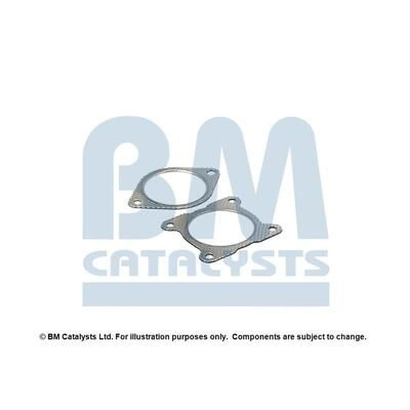 BM Catalysts Fitting Kit FK91399A FK91399A