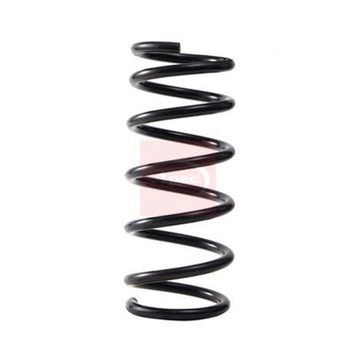 Apec Rear Suspension Coil Spring ACS2234
