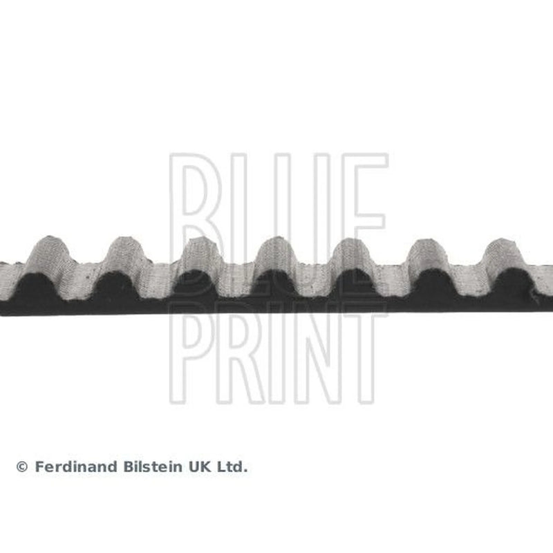 Blue Print Timing Belt Cambelt 146 Teeth ADA107503